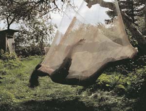 Bunt gestreifte mexikanische Netzhängematte aus Baumwolle, bietet  für 1 Person Körperkomfort.
